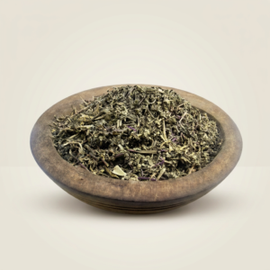 Ajuga | عشبة أجوكا