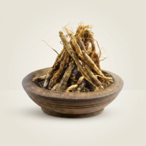 Ginseng Rouge | عشبة الجنسنج الأحمر