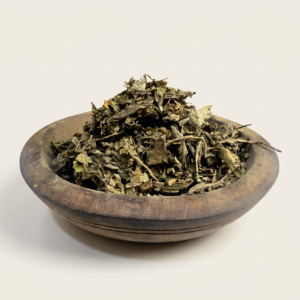 100 g Lobelia Nicotianaefolia | لوبيليا نيكويان فوليا
